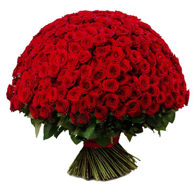 Enchanted Garden Vibrant Bouquet